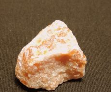 DSCN3120
