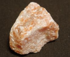 DSCN3121