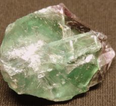 DSCN3130