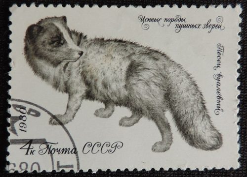 DSCN5047