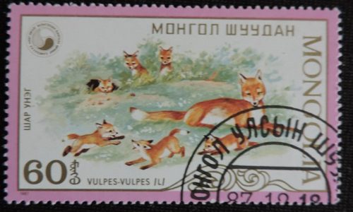 DSCN5054