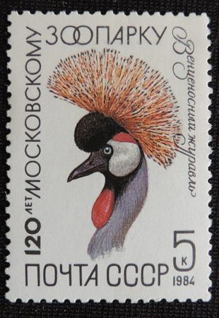 DSCN5093