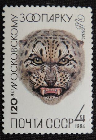 DSCN5094