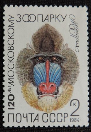 DSCN5096