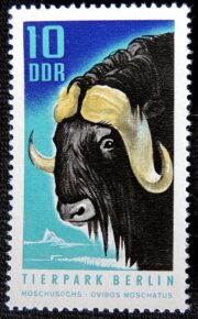 DSCN9501