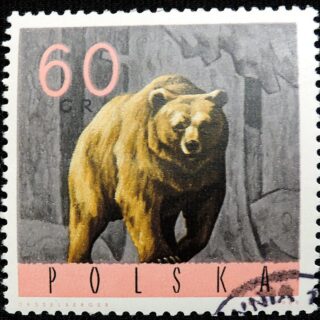DSCN9885