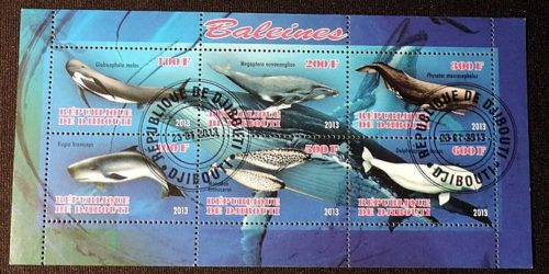 DSCN8984 — копия