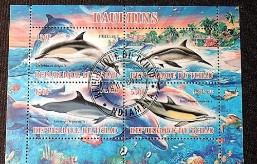 DSCN9060 — копия