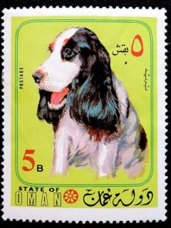 DSCN0152