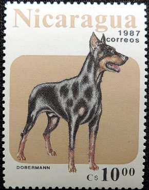 DSCN0219