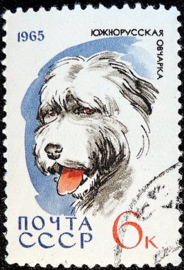 DSCN8768
