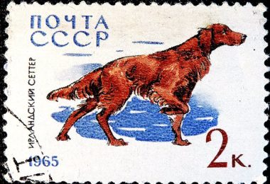DSCN8802