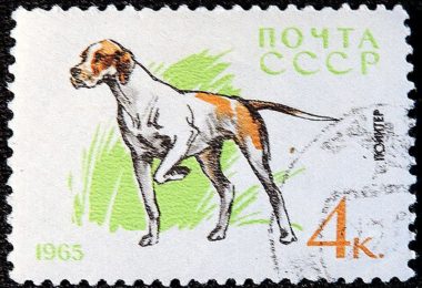 DSCN8816