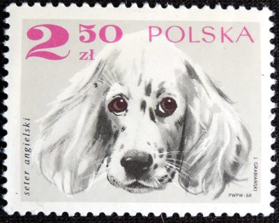 DSCN9157