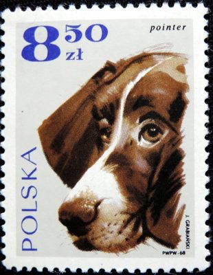 DSCN9164