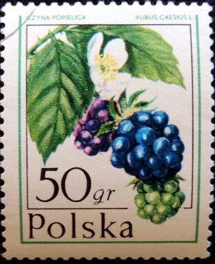 DSCN0495