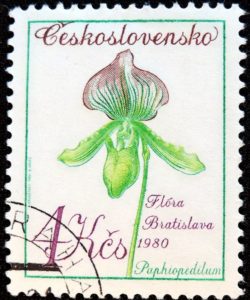 DSCN8771