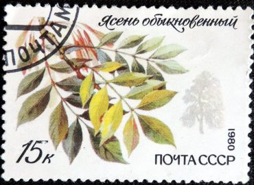 DSCN8863