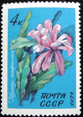 DSCN9552