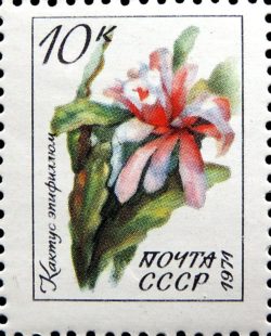 DSCN9562