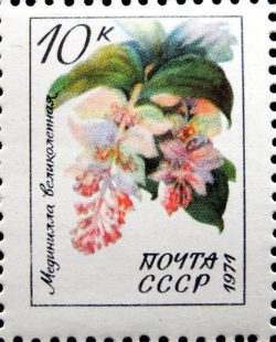 DSCN9565