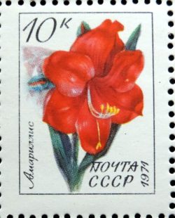 DSCN9569