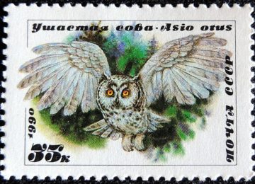 DSCN0151