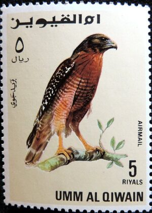 DSCN0603
