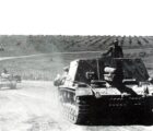 3 a1k