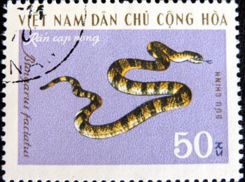 DSCN9957